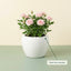 Minimal White Ceramic Planter Pot – Round Indoor Plant Pot for Succulents & Home Decor