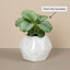 White Speckled Ceramic Planter Pot 13cm – Modern Minimal Indoor Plant Holder