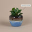 Drip Glaze Ceramic Planter Pot 11cm – Artistic Indoor Decorative Plant Holder