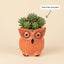 Owl Ceramic Planter Pot 10.5cm – Cute Decorative Indoor Plant Holder