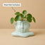 Abstract Face Ceramic Planter Pot 14cm – Modern Artistic Indoor Plant Holder