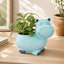 Cute Hippo Resin Planter Pot – Adorable Animal Succulent Pot for Desk & Home Décor