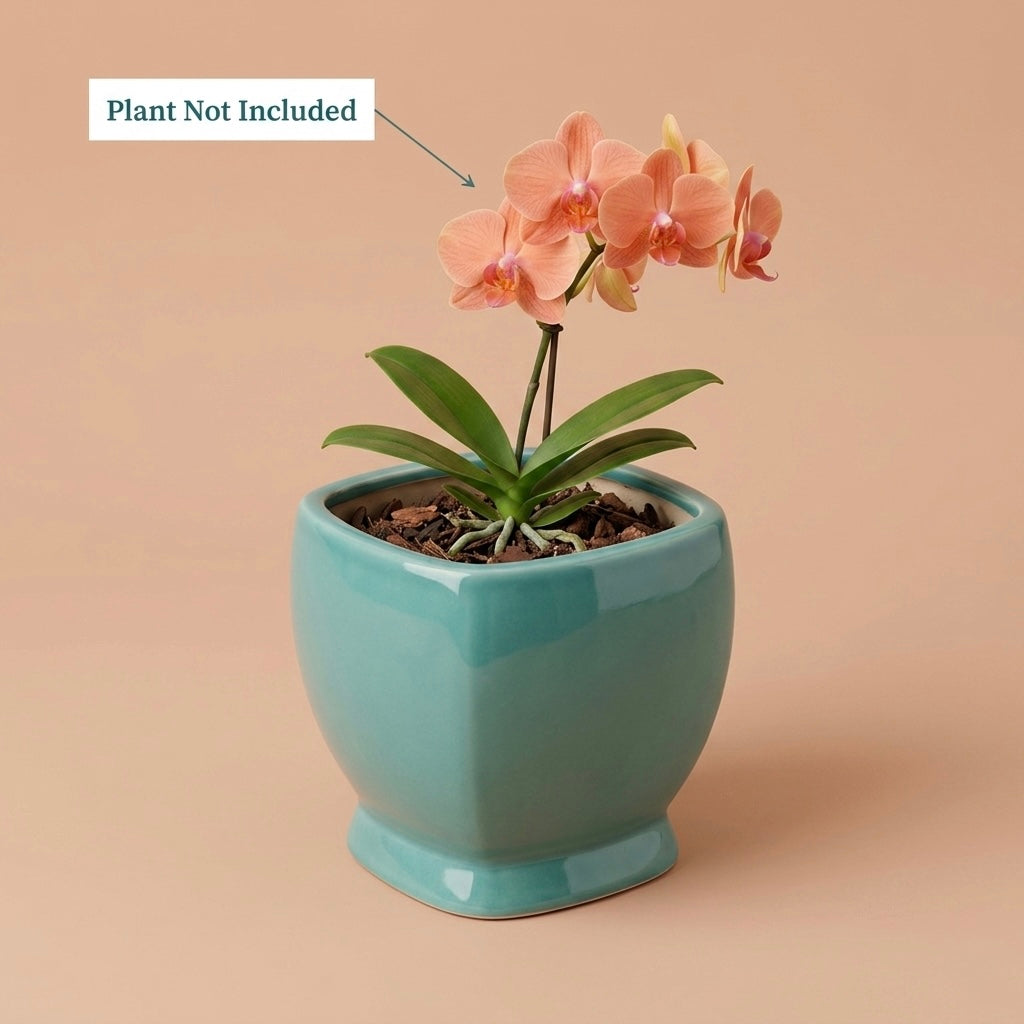Minimal White Speckled Ceramic Plant Pot | Small Modern Indoor Planter for Succulents & Desk Decor