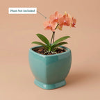 Minimal White Speckled Ceramic Plant Pot | Small Modern Indoor Planter for Succulents & Desk Decor