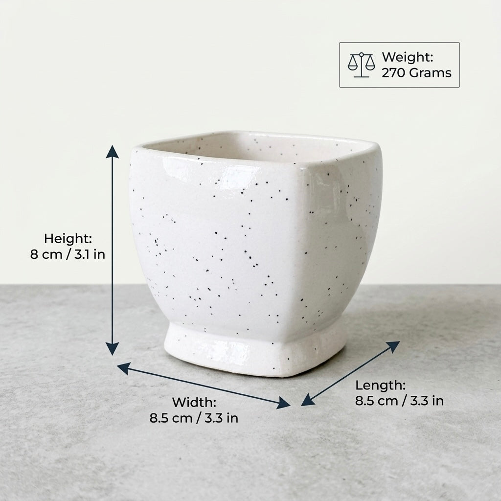 Minimal White Speckled Ceramic Plant Pot | Small Modern Indoor Planter for Succulents & Desk Decor