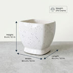 Minimal White Speckled Ceramic Plant Pot | Small Modern Indoor Planter for Succulents & Desk Decor