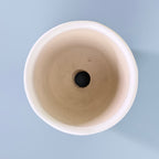 Minimal White Ceramic Plant Pot – Small Indoor Planter for Succulents & Desk Decor