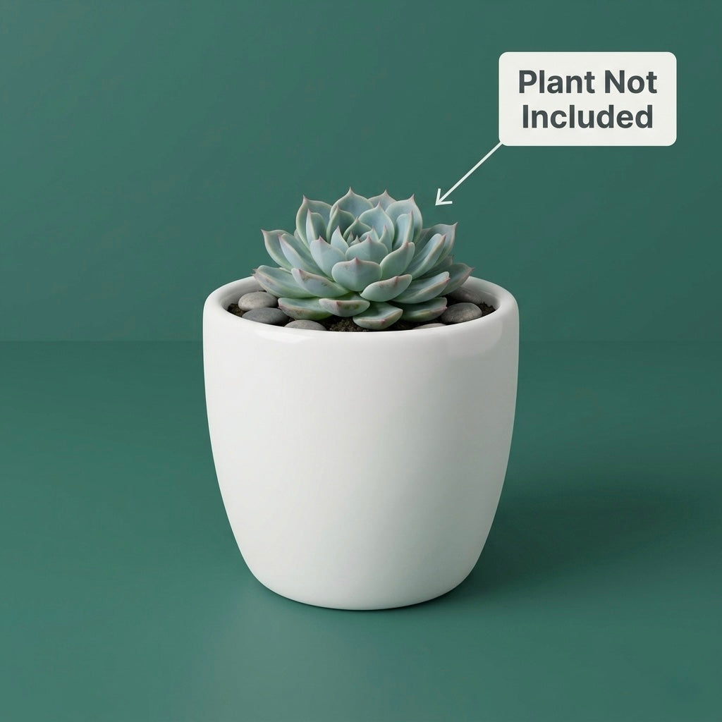 Minimal White Ceramic Plant Pot – Small Indoor Planter for Succulents & Desk Decor Secondary image