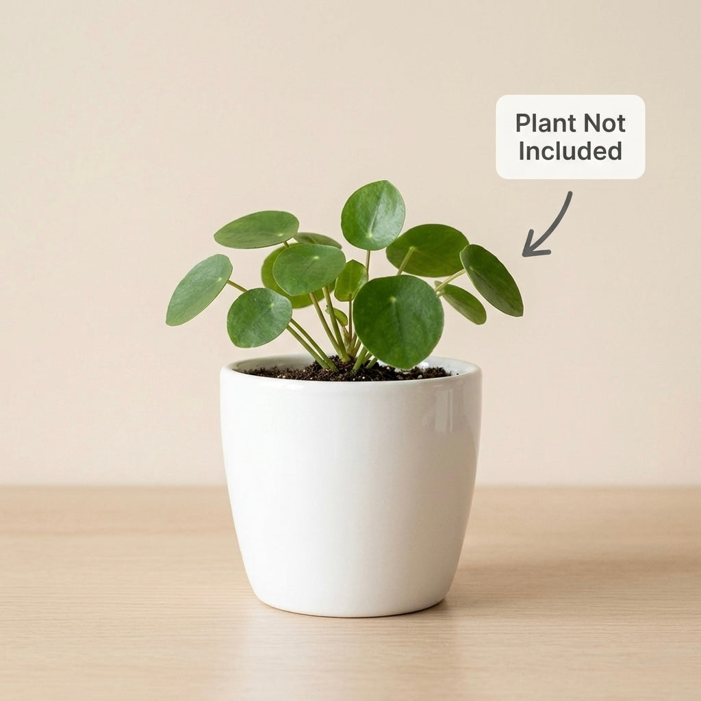 Minimal White Ceramic Plant Pot – Small Indoor Planter for Succulents & Desk Decor
