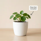 Minimal White Ceramic Plant Pot – Small Indoor Planter for Succulents & Desk Decor