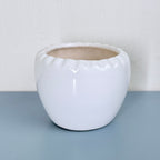 Minimal White Ceramic Planter Pot – Round Indoor Plant Pot for Succulents & Home Decor