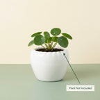 Minimal White Ceramic Planter Pot – Round Indoor Plant Pot for Succulents & Home Decor