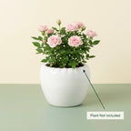 Minimal White Ceramic Planter Pot – Round Indoor Plant Pot for Succulents & Home Decor