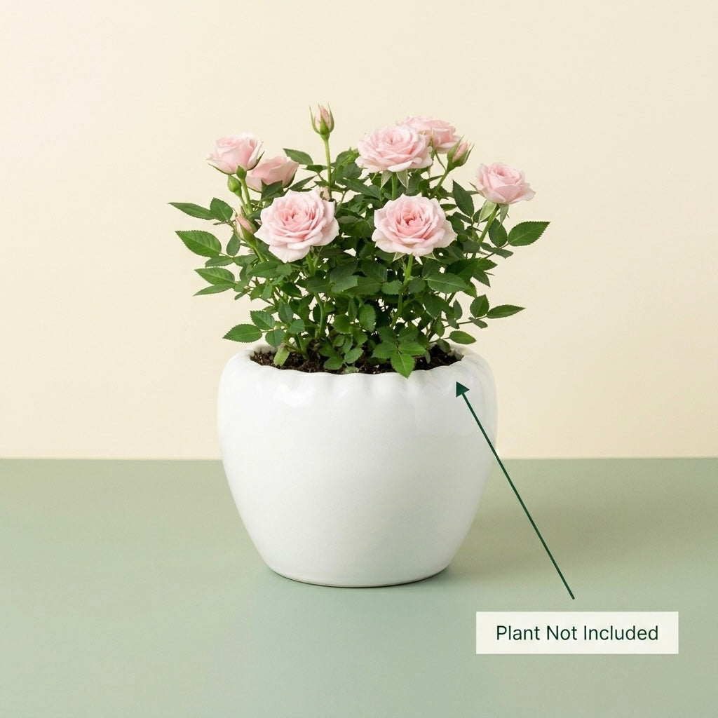 Minimal White Ceramic Planter Pot – Round Indoor Plant Pot for Succulents & Home Decor