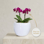 Minimal White Ceramic Planter Pot – Round Indoor Plant Pot for Succulents & Home Decor