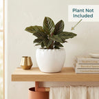Minimal White Ceramic Planter Pot – Round Indoor Plant Pot for Succulents & Home Decor