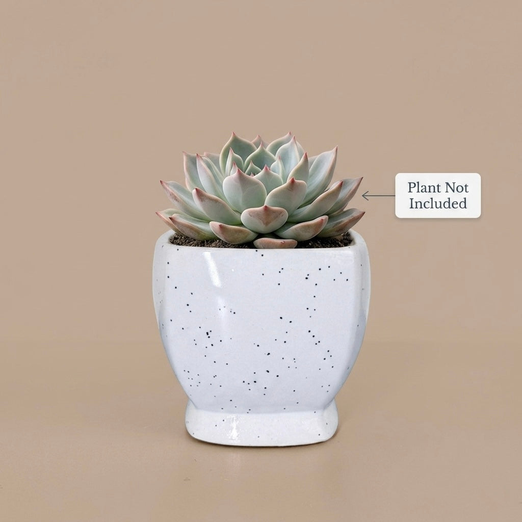 Minimal White Speckled Ceramic Plant Pot | Small Modern Indoor Planter for Succulents & Desk Decor