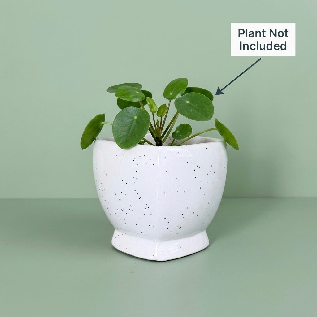Minimal White Speckled Ceramic Plant Pot | Small Modern Indoor Planter for Succulents & Desk Decor