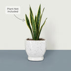 Minimal White Speckled Ceramic Plant Pot | Small Modern Indoor Planter for Succulents & Desk Decor
