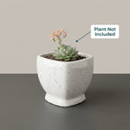 Minimal White Speckled Ceramic Plant Pot | Small Modern Indoor Planter for Succulents & Desk Decor