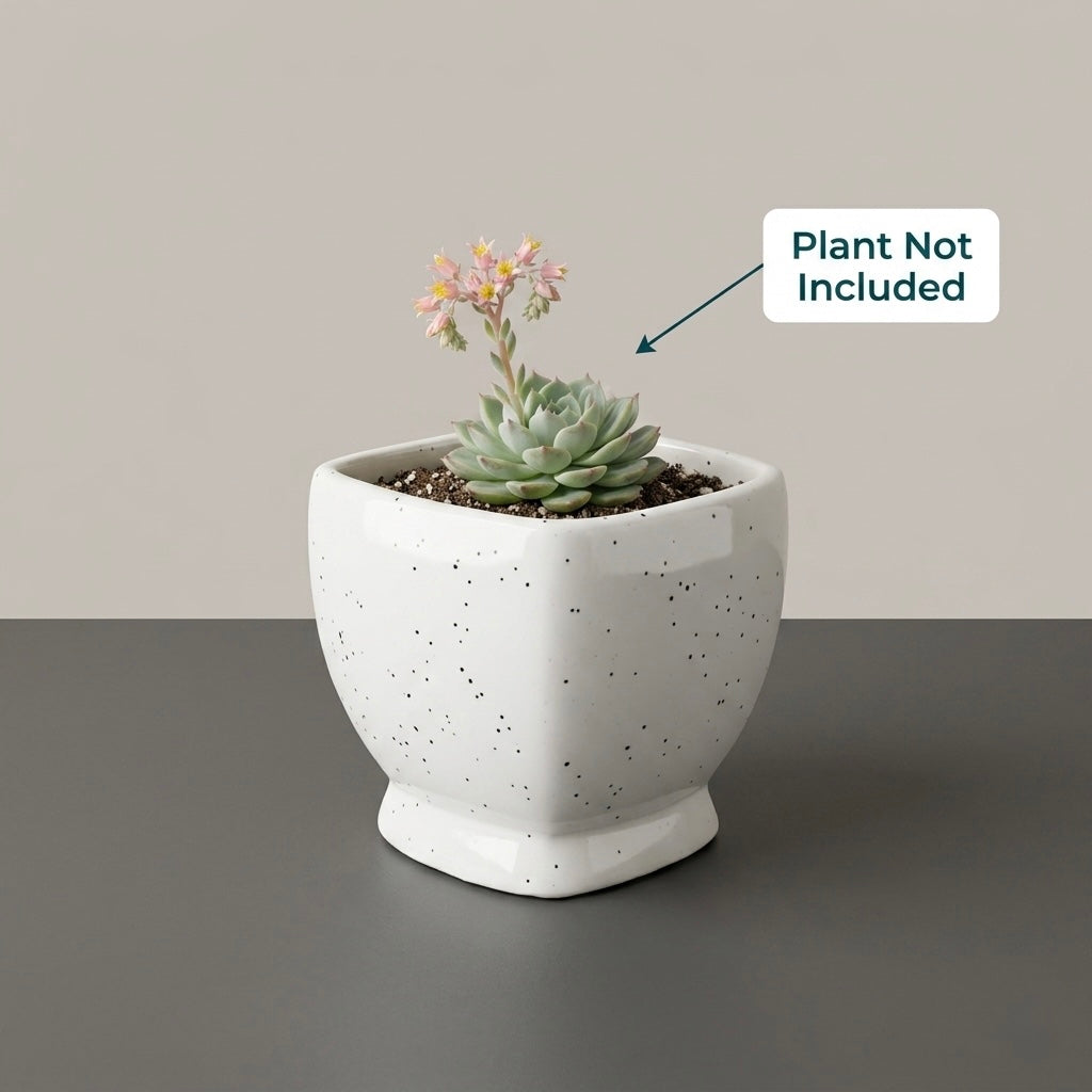 Minimal White Speckled Ceramic Plant Pot | Small Modern Indoor Planter for Succulents & Desk Decor