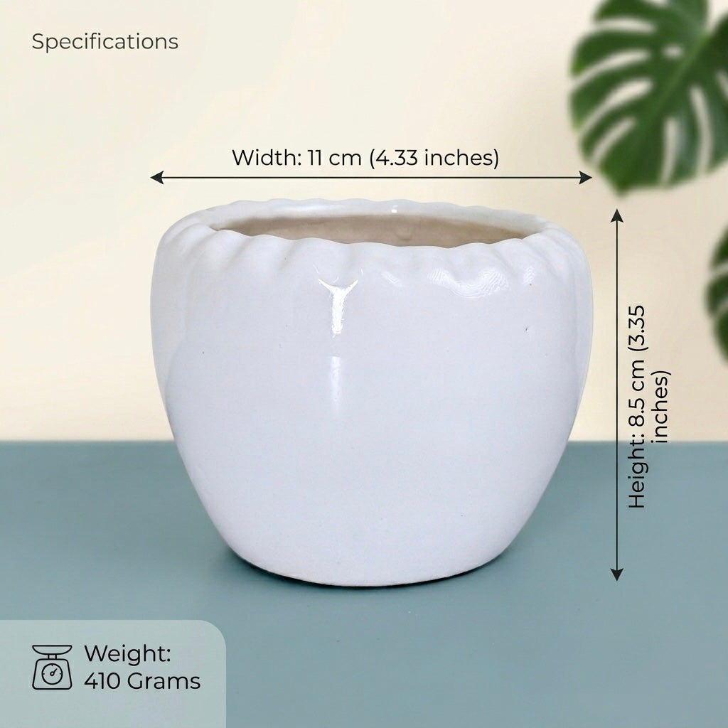 Minimal White Ceramic Planter Pot – Round Indoor Plant Pot for Succulents & Home Decor