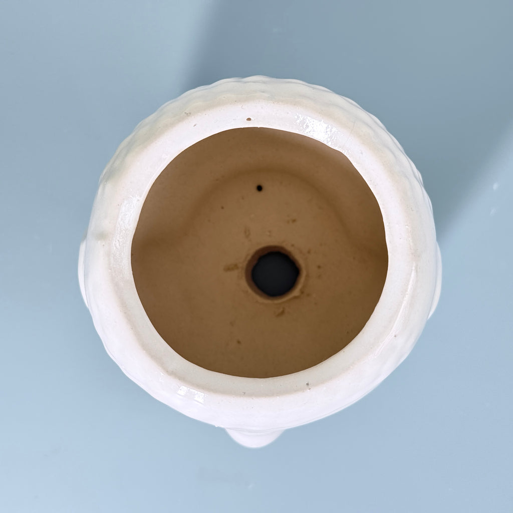 White Buddha Face Ceramic Planter Pot – Artistic Modern Indoor Plant Pot with Drainage Hole