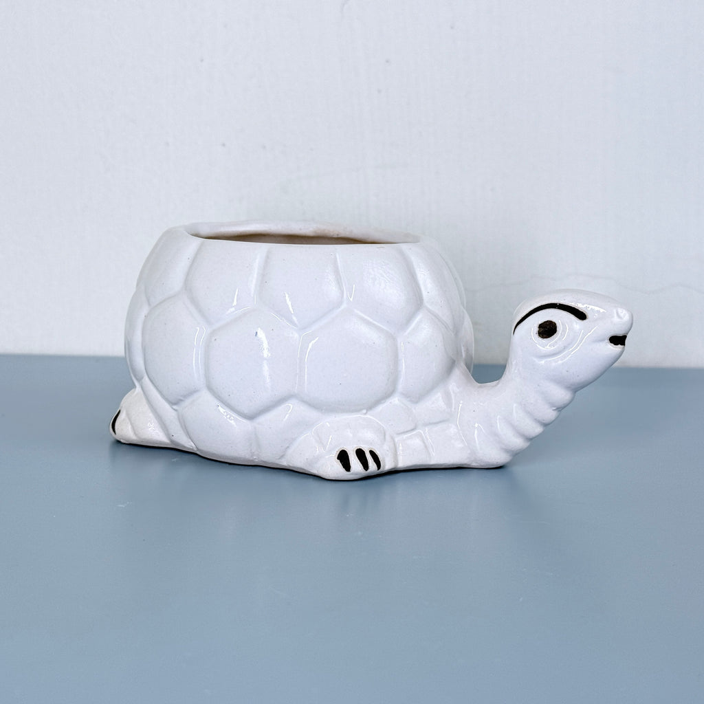 White Turtle Ceramic Planter Pot – Cute Animal Indoor Plant Pot with Drainage Hole