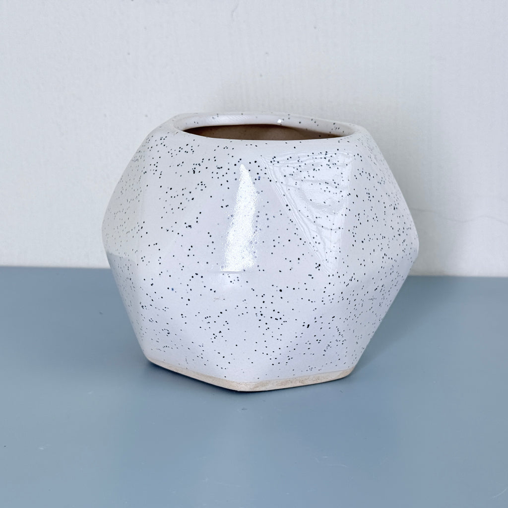 White Speckled Ceramic Planter Pot 13cm – Modern Minimal Indoor Plant Holder