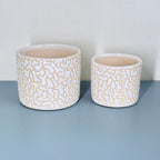 White Textured Ceramic Planter Set of 2 – Modern Indoor Decorative Pots