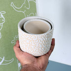 White Textured Ceramic Planter Set of 2 – Modern Indoor Decorative Pots
