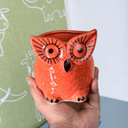 Owl Ceramic Planter Pot 10.5cm – Cute Decorative Indoor Plant Holder
