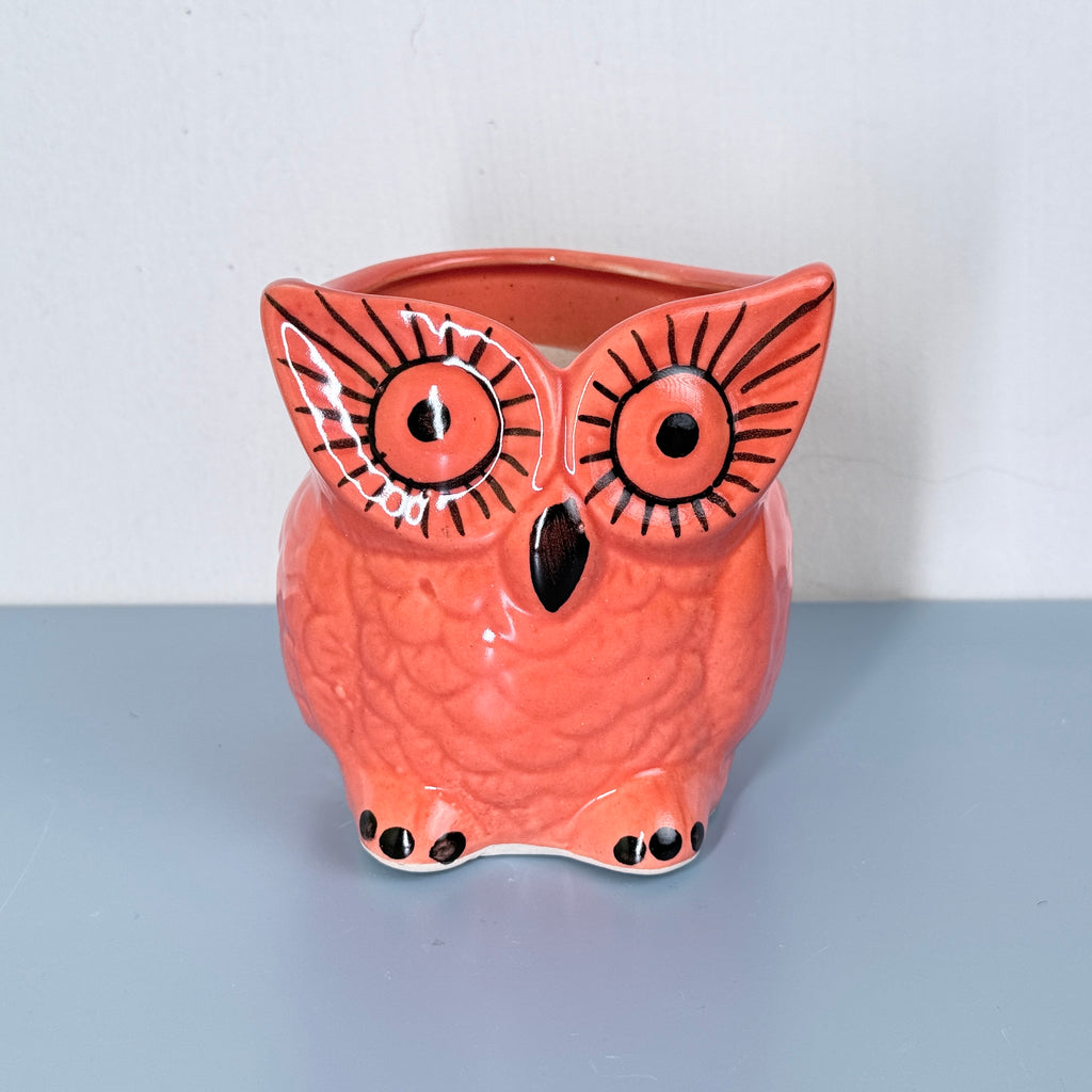 Owl Ceramic Planter Pot 10.5cm – Cute Decorative Indoor Plant Holder
