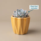 Textured Mustard Ceramic Planter Pot – Modern Ribbed Indoor Plant Pot with Drainage Hole