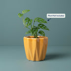 Textured Mustard Ceramic Planter Pot – Modern Ribbed Indoor Plant Pot with Drainage Hole