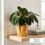 Textured Mustard Ceramic Planter Pot – Modern Ribbed Indoor Plant Pot with Drainage Hole
