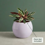 Minimal White Ceramic Planter Pot – Modern Indoor Plant Pot with Drainage Hole