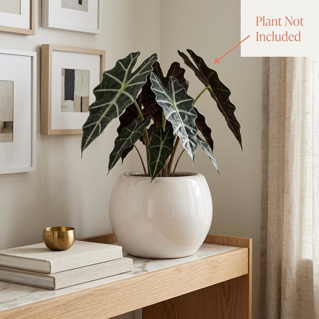 Minimal White Ceramic Planter Pot – Modern Indoor Plant Pot with Drainage Hole