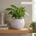 Minimal White Ceramic Planter Pot – Modern Indoor Plant Pot with Drainage Hole