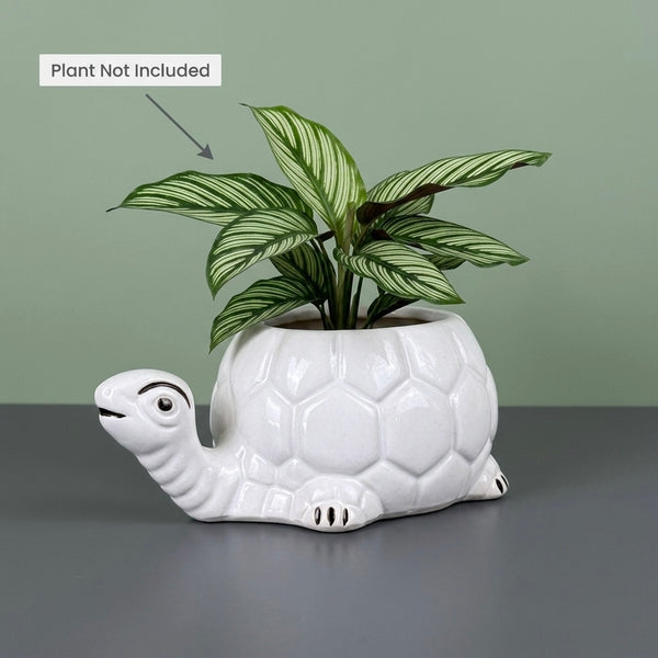 White Turtle Ceramic Planter Pot – Cute Animal Indoor Plant Pot with Drainage Hole