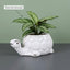 White Turtle Ceramic Planter Pot – Cute Animal Indoor Plant Pot with Drainage Hole