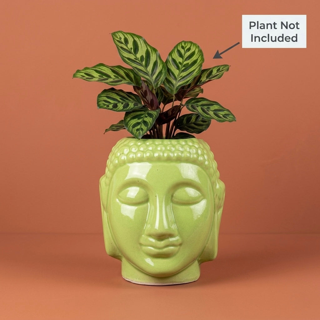Buddha Face Ceramic Planter Pot – Large Decorative Indoor Plant Pot with Drainage Hole