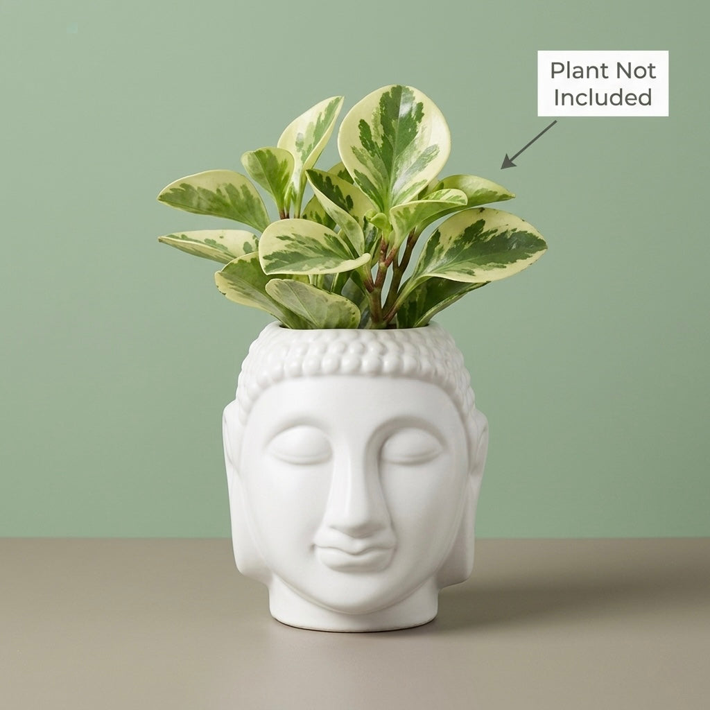 Buddha Face Ceramic Planter Pot – Large Decorative Indoor Plant Pot with Drainage Hole