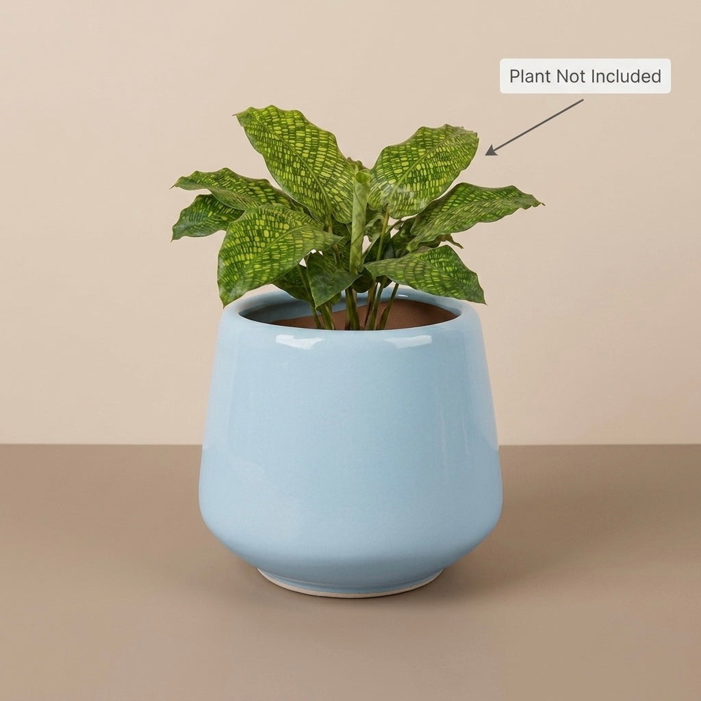 Glossy Round Ceramic Planter Pot – Modern Indoor Plant Pot with Drainage Hole Main image