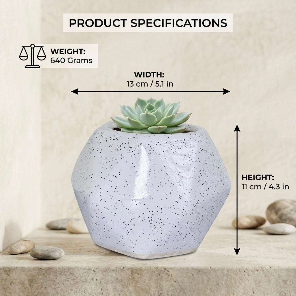 White Speckled Ceramic Planter Pot 13cm – Modern Minimal Indoor Plant Holder