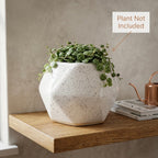 White Speckled Ceramic Planter Pot 13cm – Modern Minimal Indoor Plant Holder