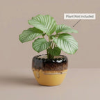Drip Glaze Ceramic Planter Pot 11cm – Artistic Indoor Decorative Plant Holder