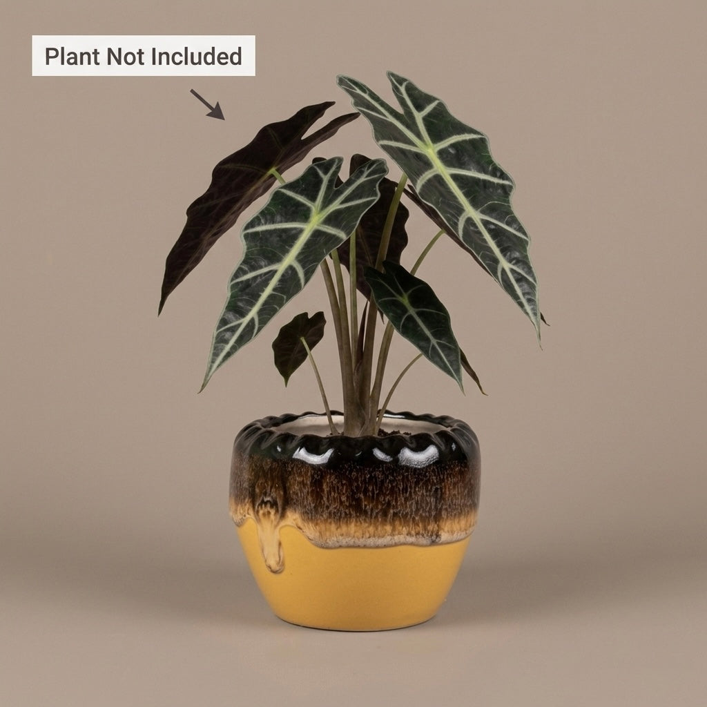 Drip Glaze Ceramic Planter Pot 11cm – Artistic Indoor Decorative Plant Holder