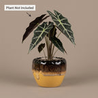 Drip Glaze Ceramic Planter Pot 11cm – Artistic Indoor Decorative Plant Holder