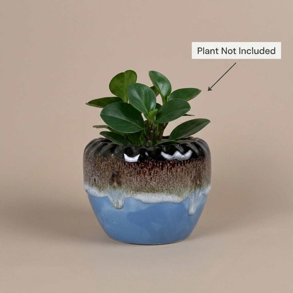 Drip Glaze Ceramic Planter Pot 11cm – Artistic Indoor Decorative Plant Holder